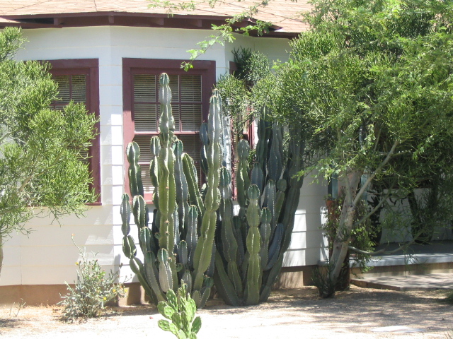 618x457 pixels (247K)